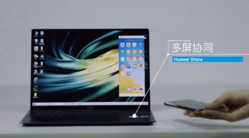 华为电脑怎么共享屏幕(华为电脑屏幕共享功能详解,轻松实现远程协作与多媒体展示) 华为电脑怎么共享屏幕(华为电脑屏幕共享功能详解,轻松实现远程协作与多媒体展示)
