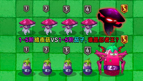 游戏爬树攻略 VS 神嫁游戏攻略 游戏爬树攻略 VS 神嫁游戏攻略