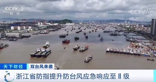 多地停运、停航 台风来了 多地停运、停航 台风来了